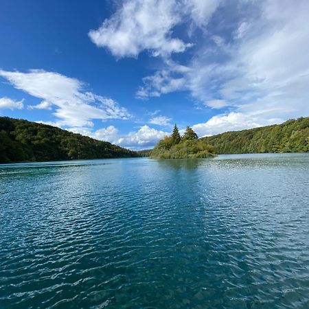 B&B Plitvice Area Natura セリステ・ドゥレズニツコ エクステリア 写真