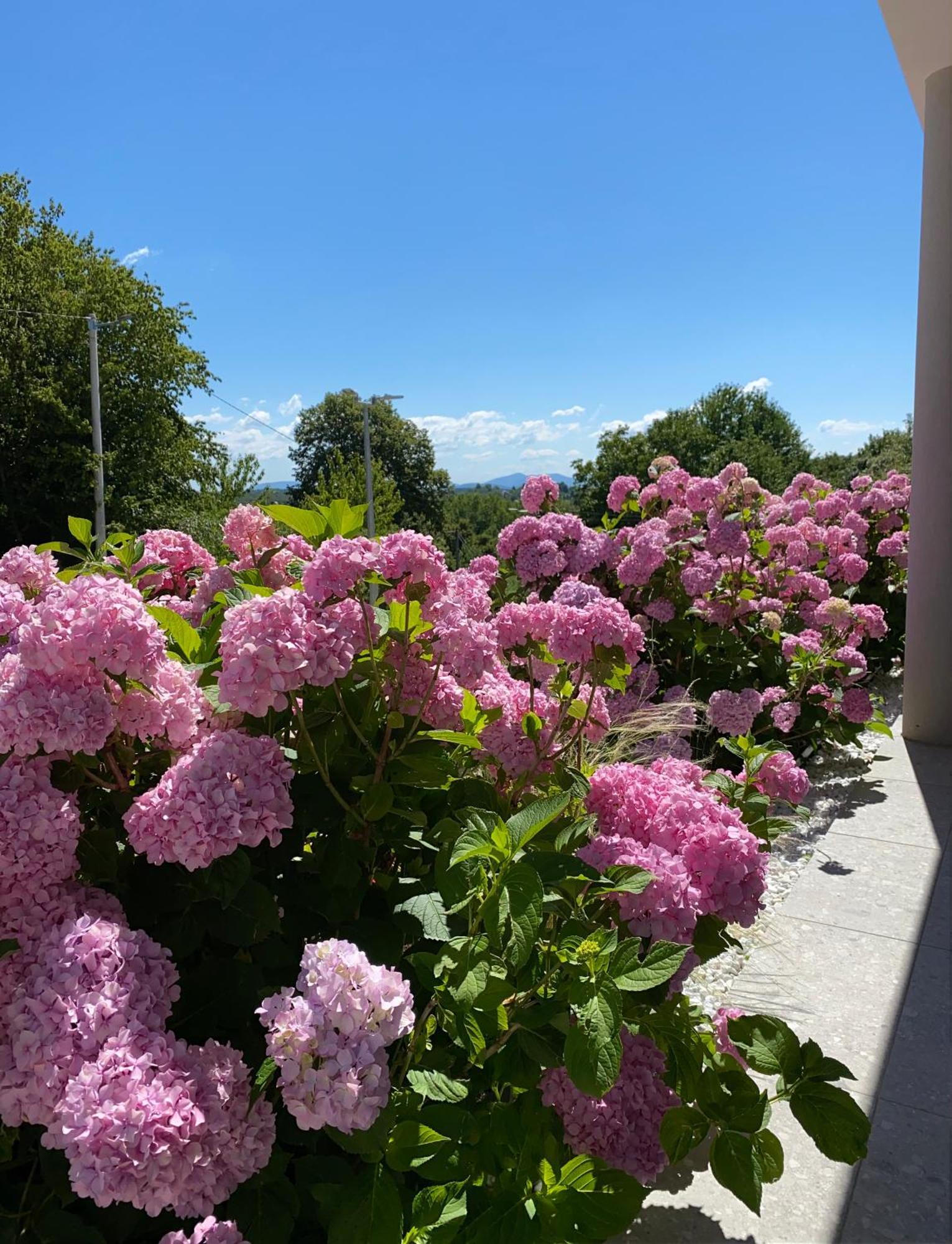 B&B Plitvice Area Natura セリステ・ドゥレズニツコ エクステリア 写真