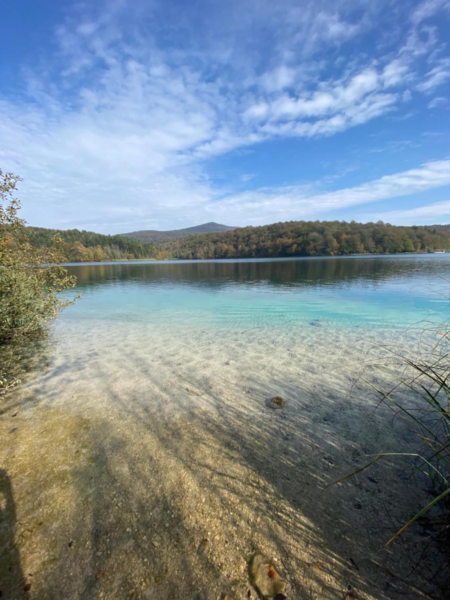 B&B Plitvice Area Natura セリステ・ドゥレズニツコ エクステリア 写真